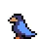 squawk