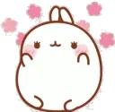 molangblush