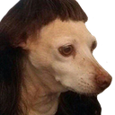 410760608535937024.png?v=1