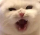 HISS