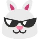 bunnysunglasses