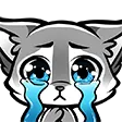 snuCry