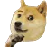 DogeMadThinker