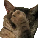facepaw