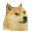 doge