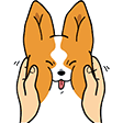 CorgiSquishes Discord emoji