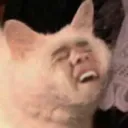 yaaaas