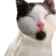 RareLetho