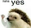 hahayes Discord emoji