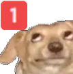 ping_doge