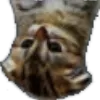 das