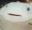 ohfish