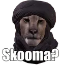 skooma skooma