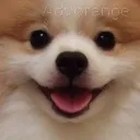 SmileyPOM
