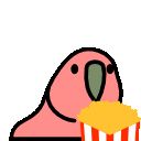 popcorn_parrot