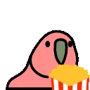 popcorn_parrot