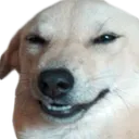 hehehe hehehe