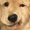 NotWeirdFace