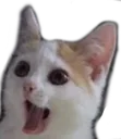 surprisedwut surprisedwut