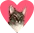 felixheart