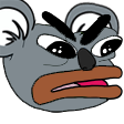 :AngeryKoala: Discord Emote
