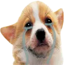sad