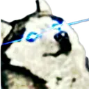 NANI