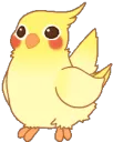 birbdance
