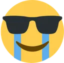 cryglasses cryglasses