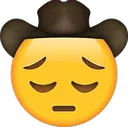 sadcowboy
