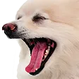 bmkHaha bmkHaha