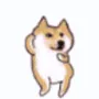 doge