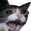 AAAAAH