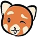 panda_wink panda_wink