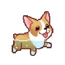 dogeswim