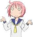 leshrug