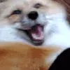 HyperFox