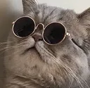 glasses1 glasses1