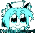 HonkMax