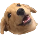 wowee