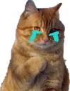 sadcat Discord Emoji