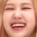 rosekek