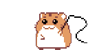 hamsterwhip00