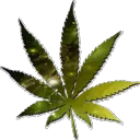 spaceweed