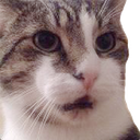 417652955907620874.png?v=1