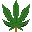 icon23