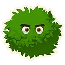 busheyes