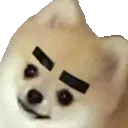 anibrows