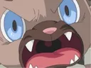 ANGRYDOGGO
