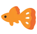 fishy